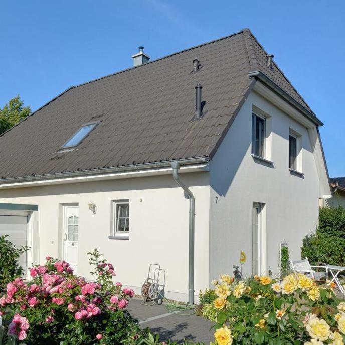 Haus-Am-See-Pratzschwitz Pirna Exterior foto